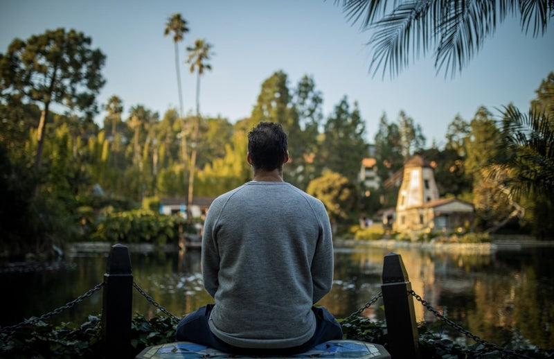 Sustain Your Zen at Work - Phizz