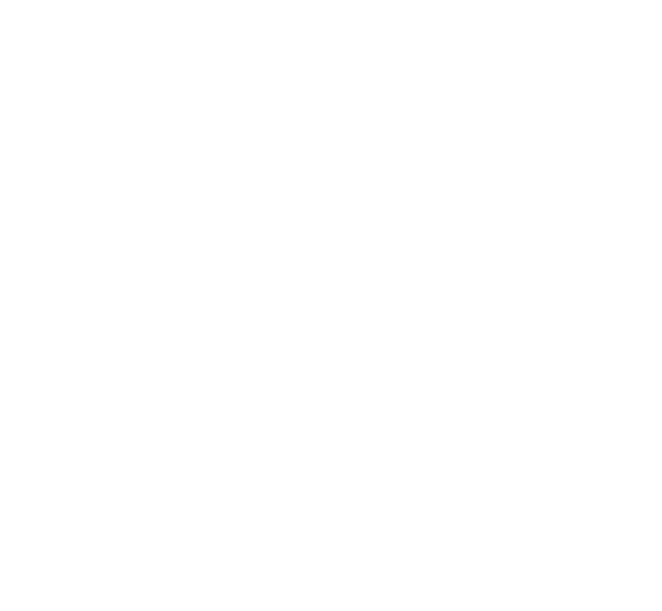 Phizz footer logo