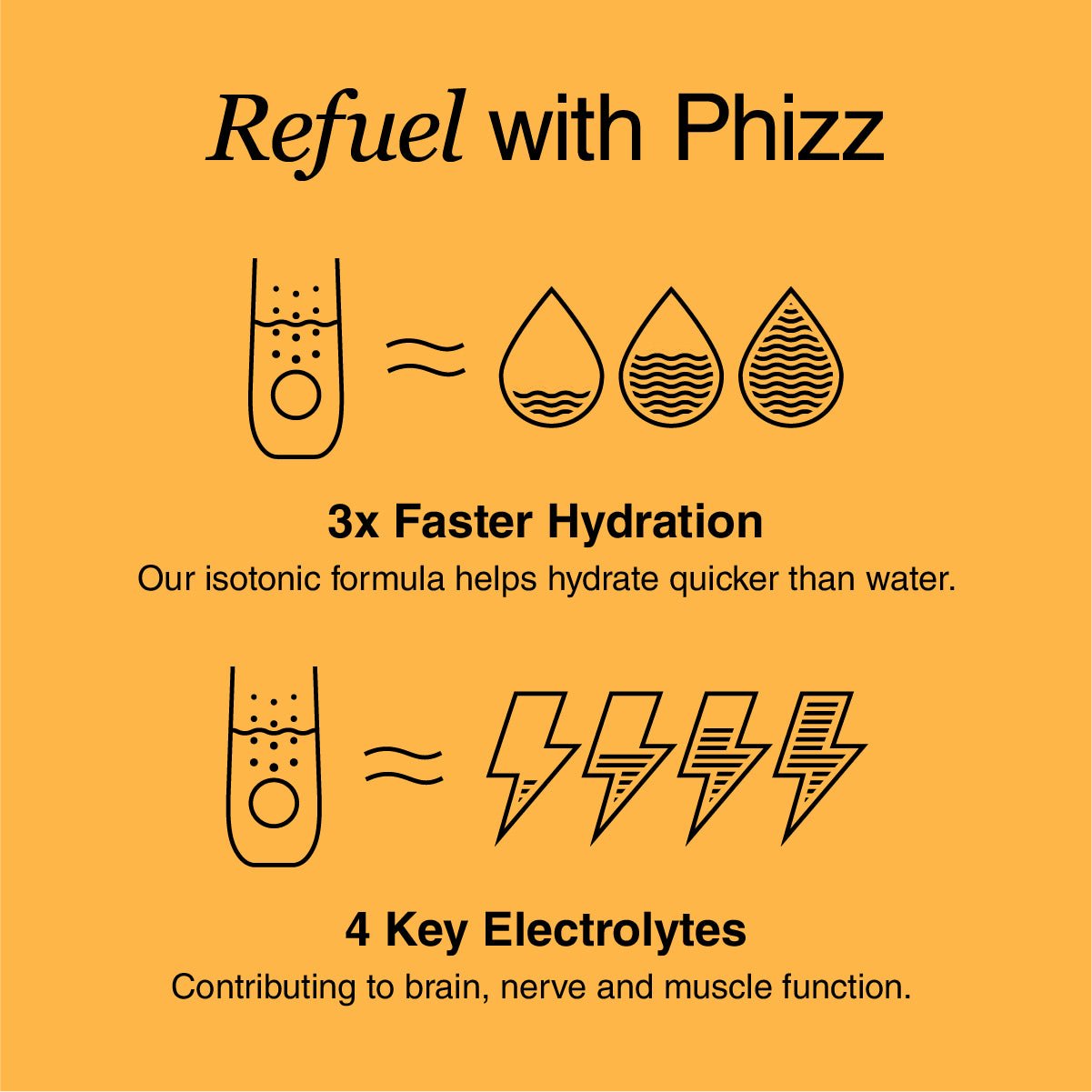 The Phizz Full Discovery Bundle