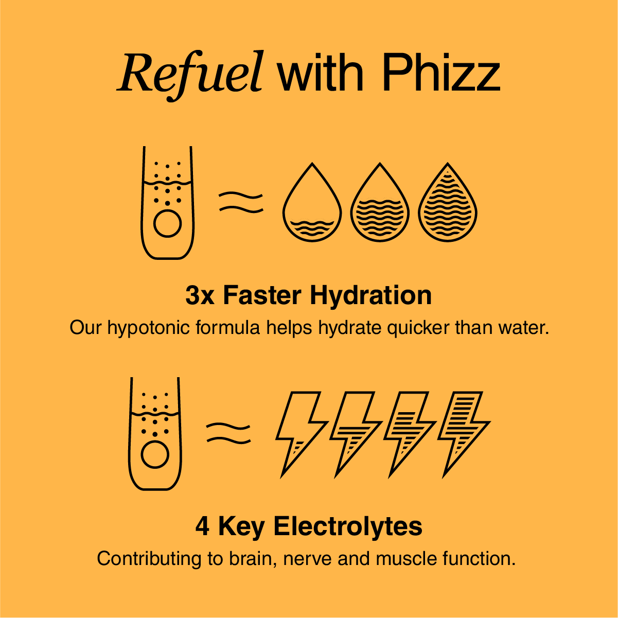 The Phizz Vitality Bundle - Phizz
